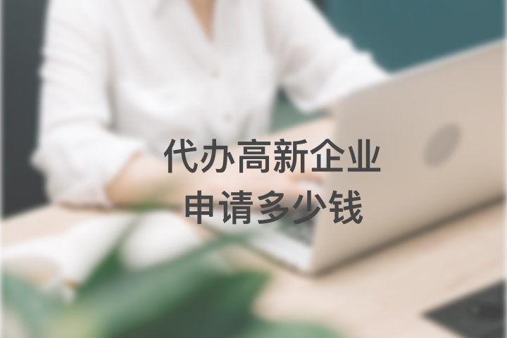 代辦高新企業(yè)申請(qǐng)多少錢
