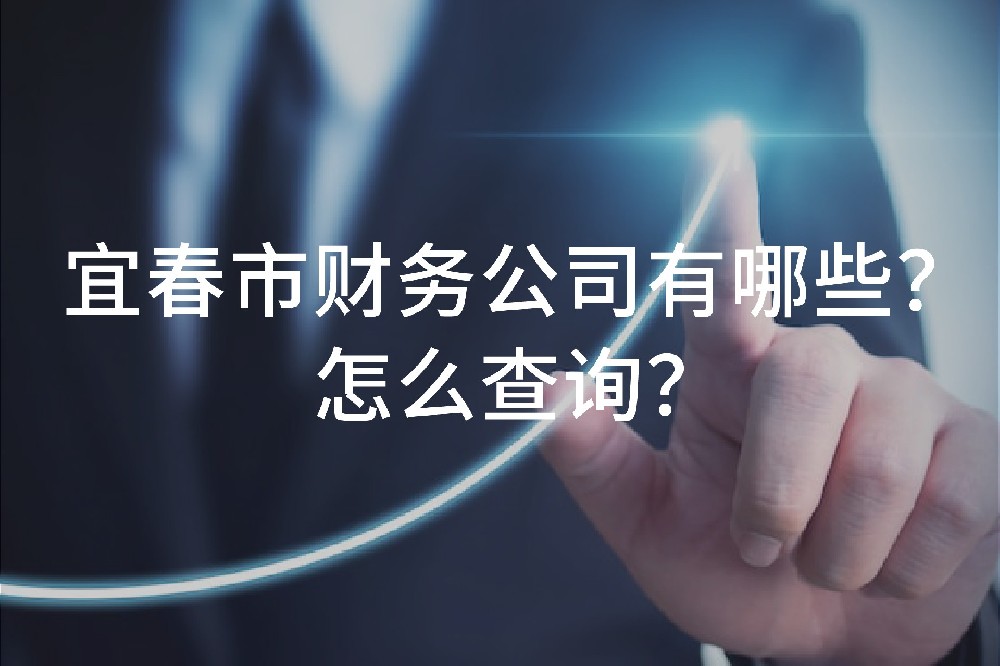 宜春市財務公司有哪些？怎么查詢？