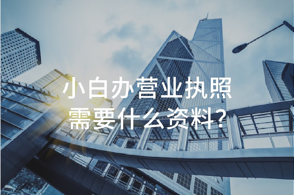 小白辦營(yíng)業(yè)執(zhí)照需要什么資料？